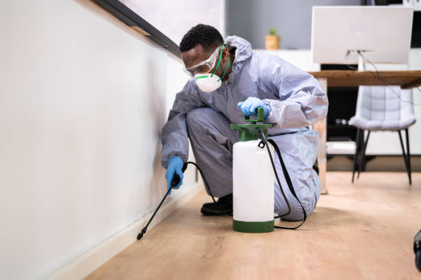 Professional Pest Control in Bradfordville, FL